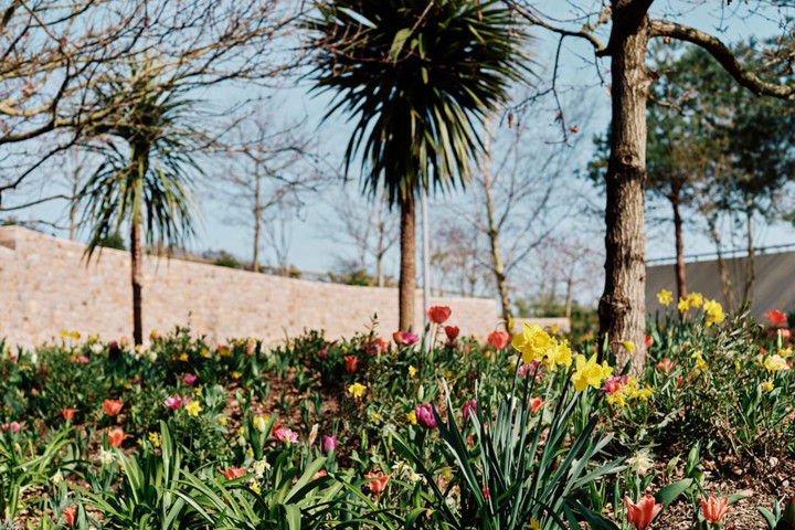 Image of Hospice entrance way with flowers